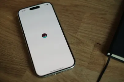 Kazino Vegas Winner Mobilioji programa